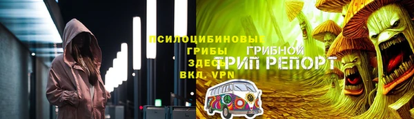 мдпв Ладушкин