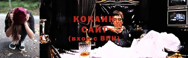 гидра Лагань