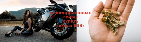 гидра Лабытнанги
