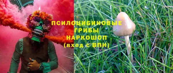 гидра Лагань