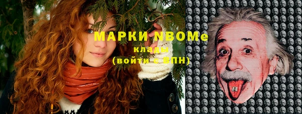 мдпв Ладушкин
