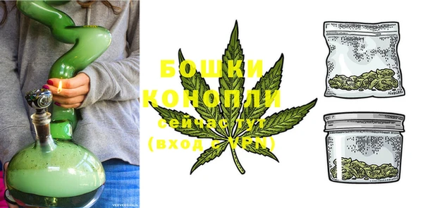 гидра Лагань